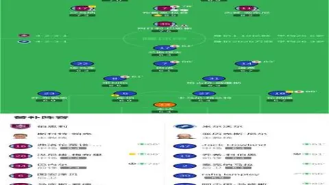 佩莱格里尼与马雷斯卡短信相约欧协联决赛再战